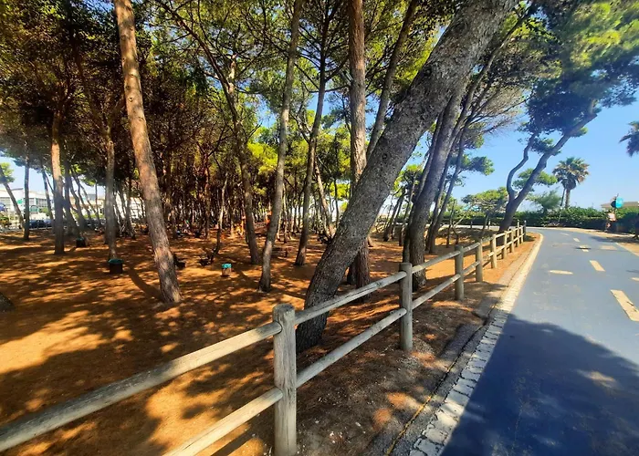 La Vela - Myho Casa 아파트 알바아드리안티카